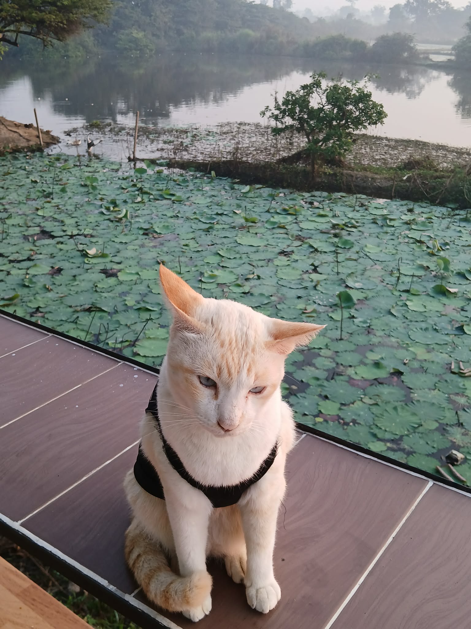 บรรยากาศ 3